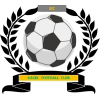 https://img.jxzhuofan.com/img/football/team/6dc6d59af2f0962597b412473a6708ee.png